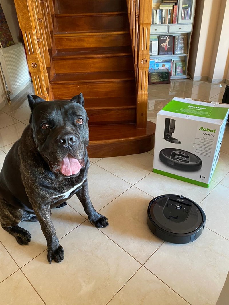 At home with iroomba