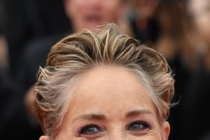 Είναι η Sharon Stone και ο Kevin Costner το νέο ζευγάρι του Hollywood; - εικόνα 2