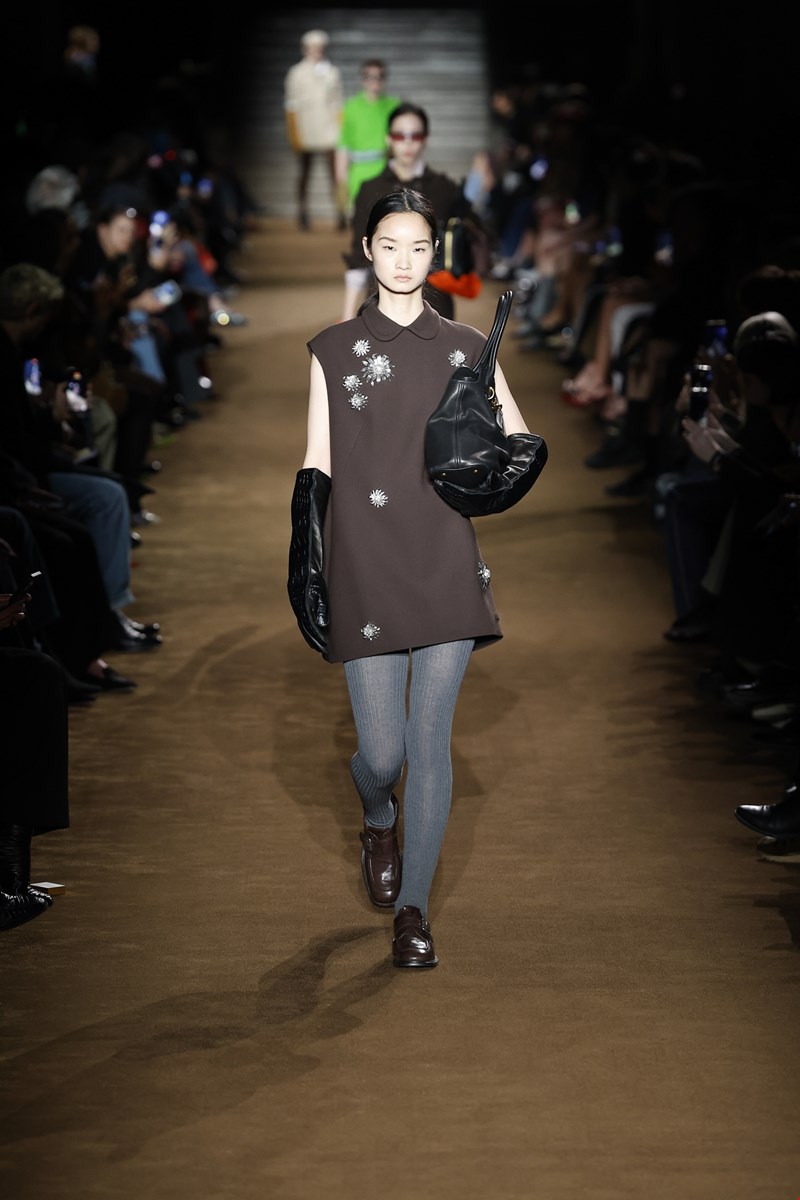 miu miu