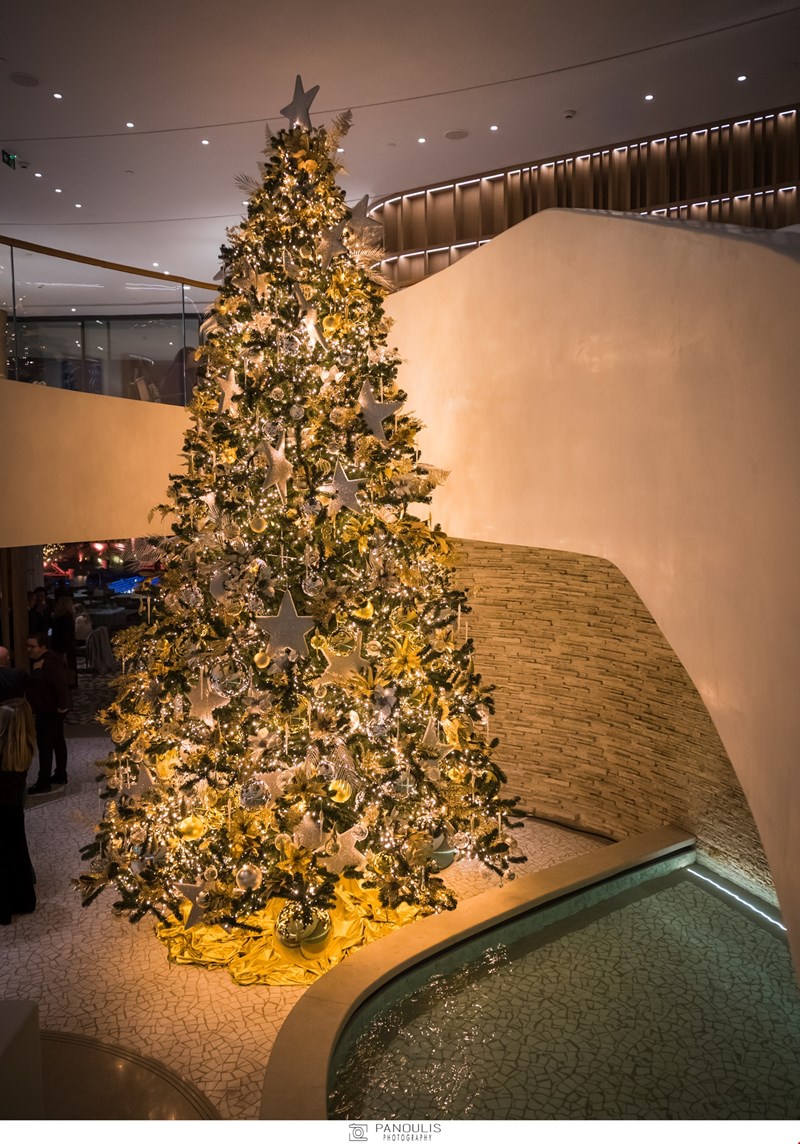 one and only aesthesis