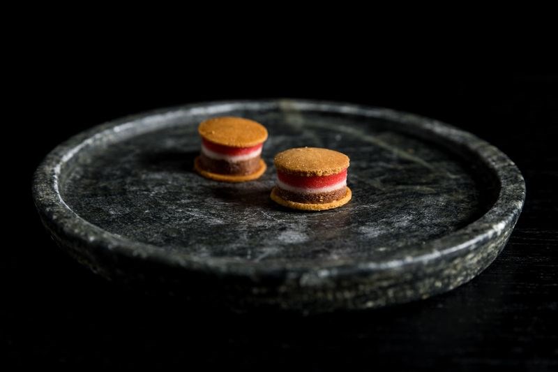 sani gourmet