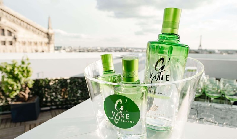 gvine