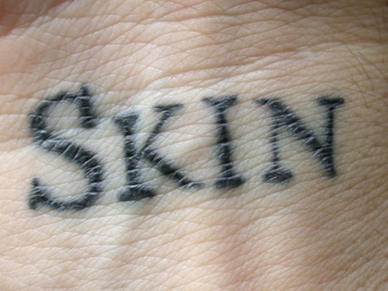 skin