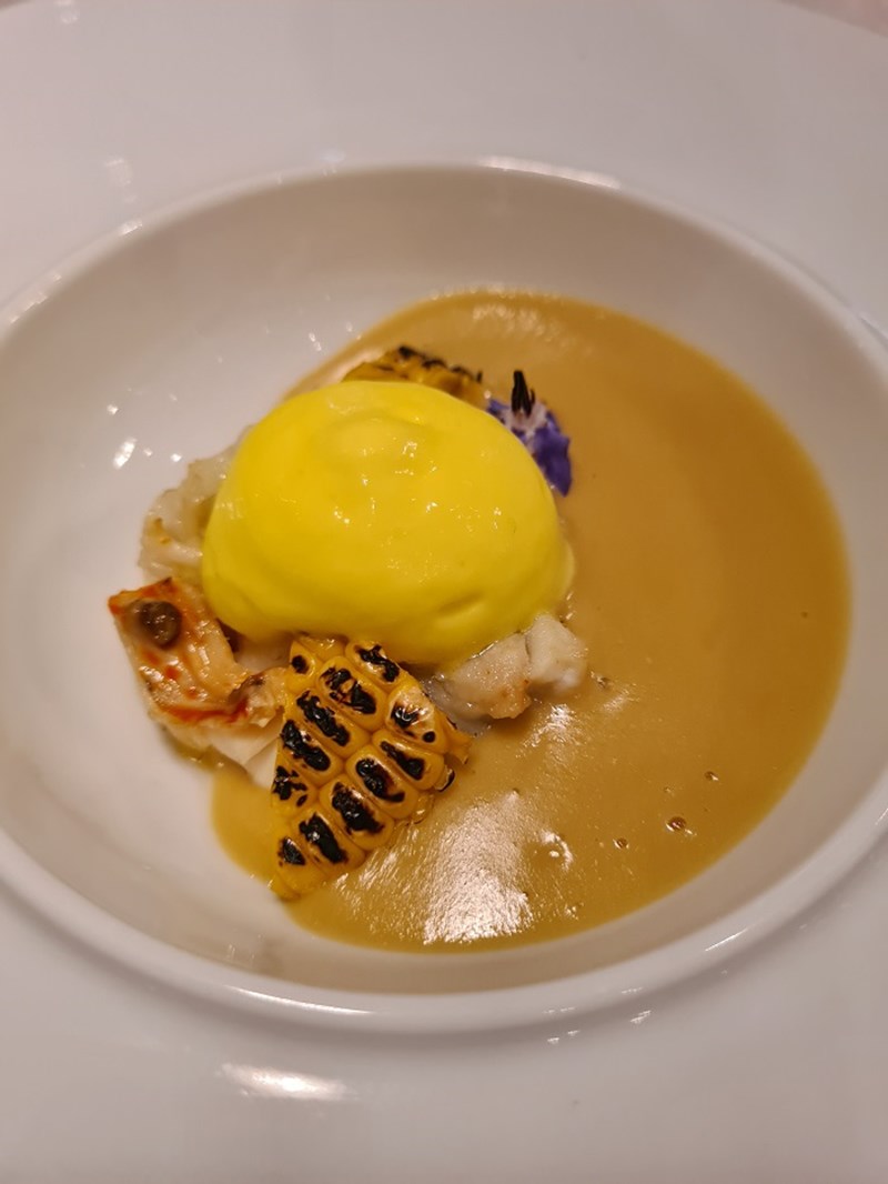 Sani Gourmet 2022