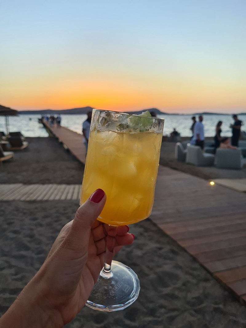 w costa navarino