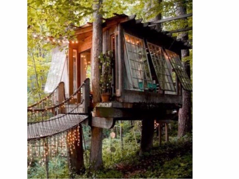 treehouse