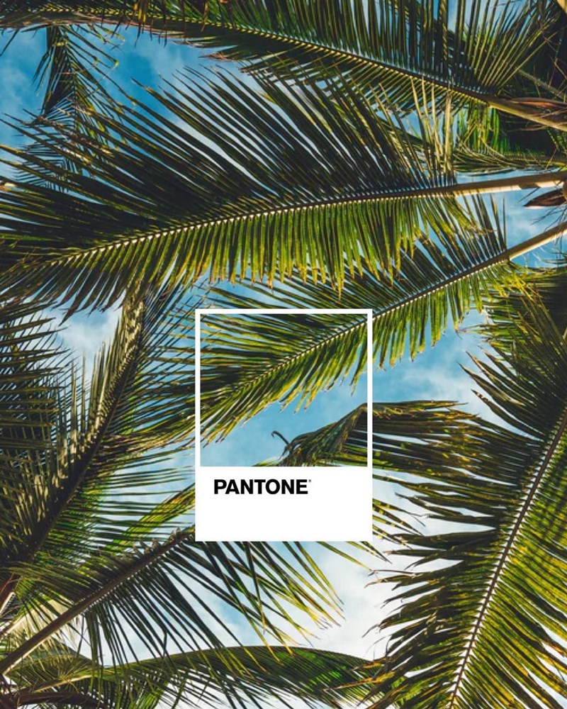 Pantone