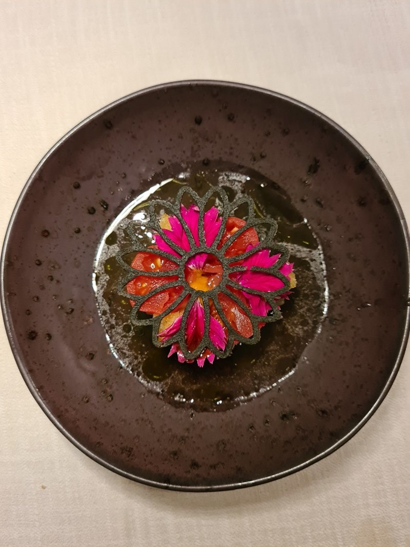 Sani Gourmet 2022