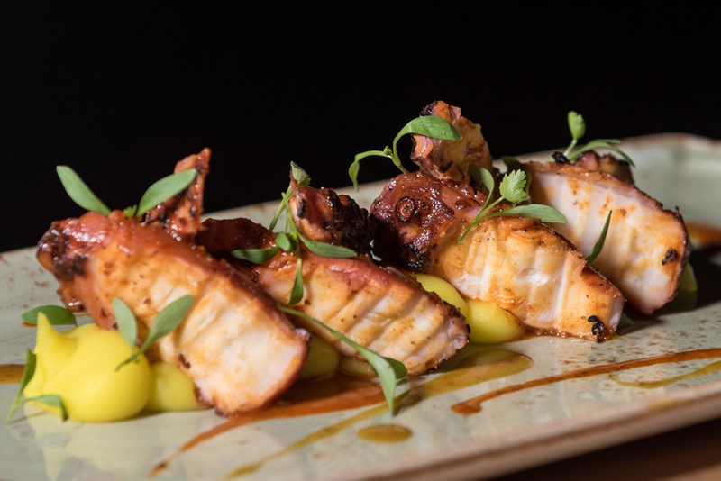 kiku octopus