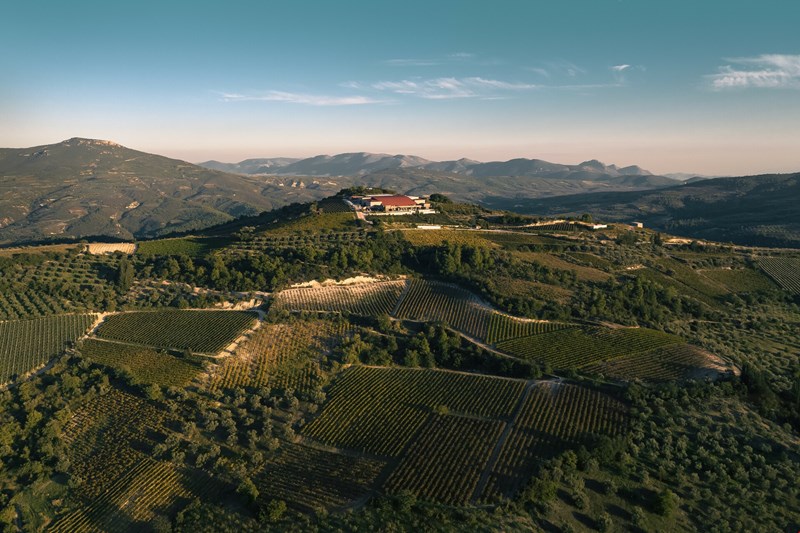 κτήμα semeli