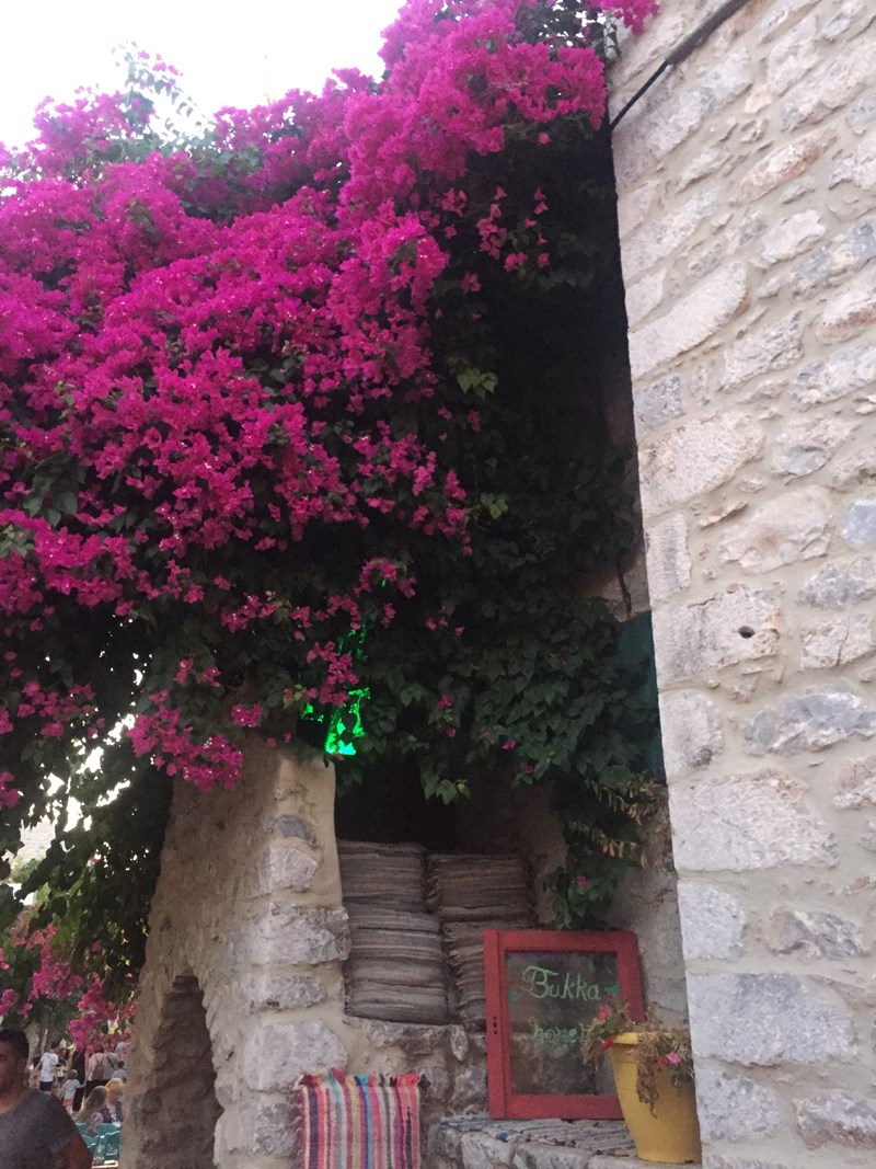 αρεοπολη