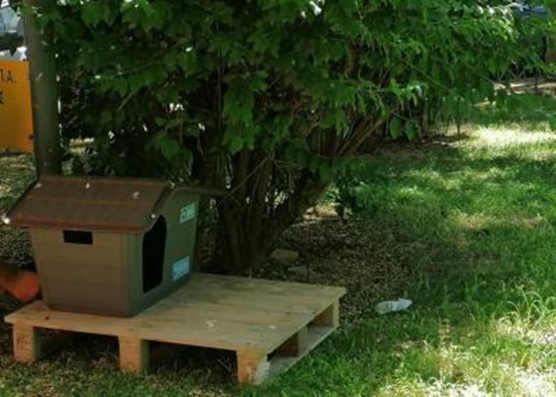 σπιτάκια για γάτες