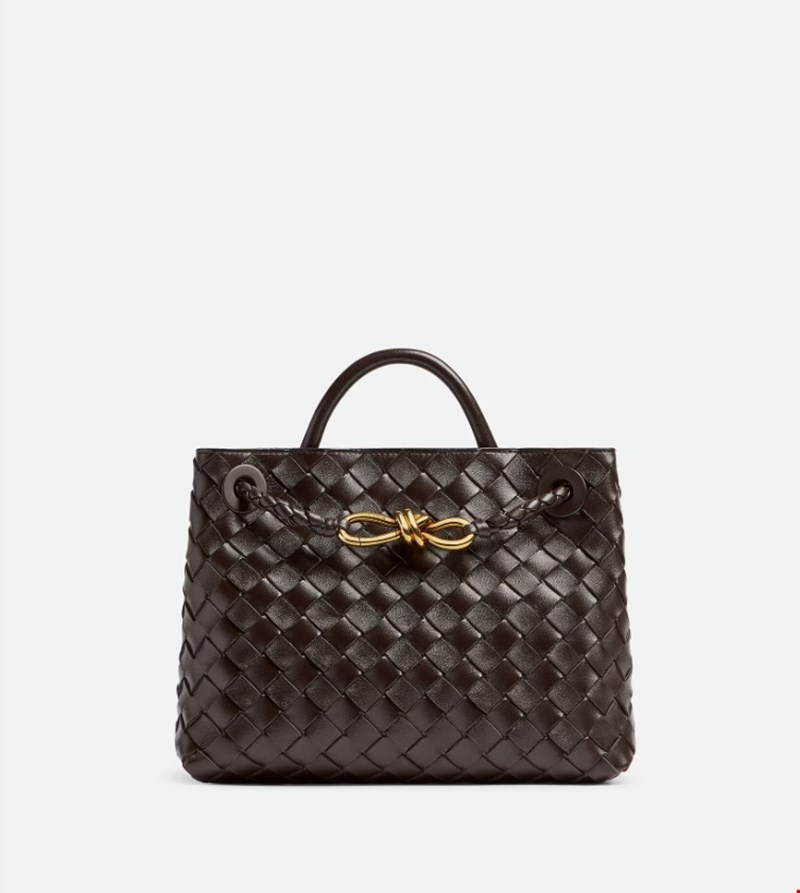Andiamo bag Bottega Veneta