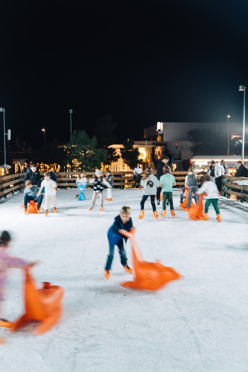 παγοδρομιο