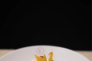 #theaftertaste | Η πρώτη έκθεση στη γκαλερί Gagosian για το 2026, ένα νέο εστιατόριο με comfort ελληνική γεύση στο κέντρο και η επιστροφή του Harry Styles - εικόνα 1