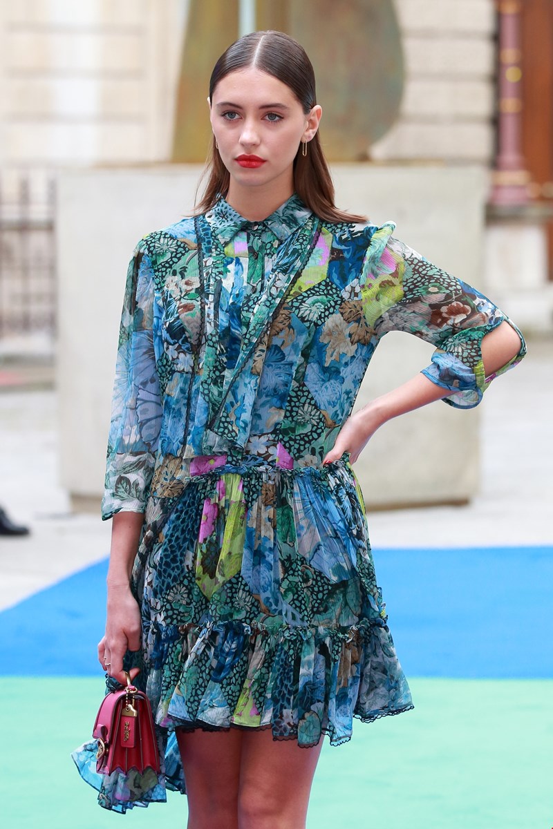 Iris Law