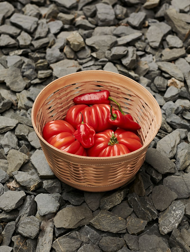 AGS HOME Woven Basket