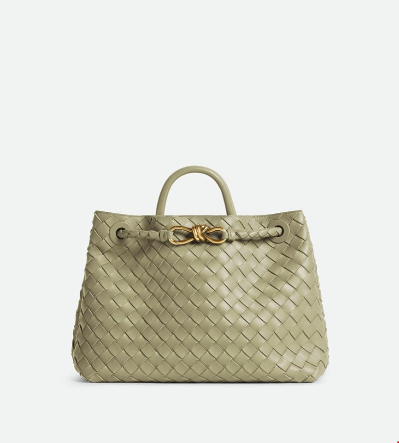 Andiamo bag Bottega Veneta