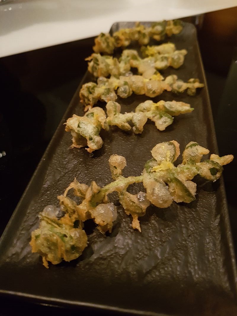 fuga