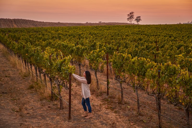 ΌΛγα Καραποάνου