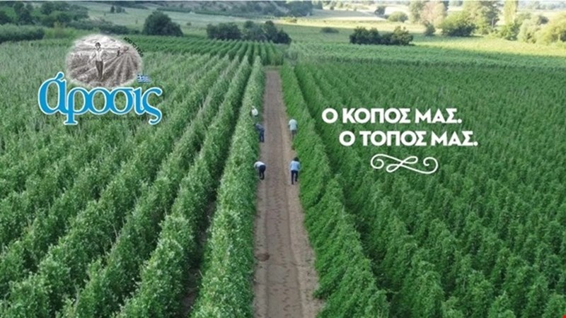 arosis