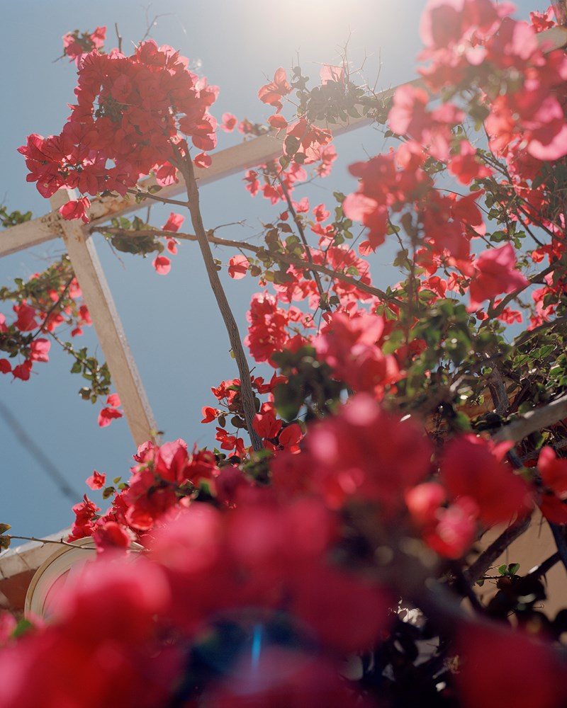 Chanel Cruise 2020/21