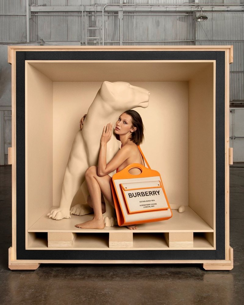 bella hadid burberry