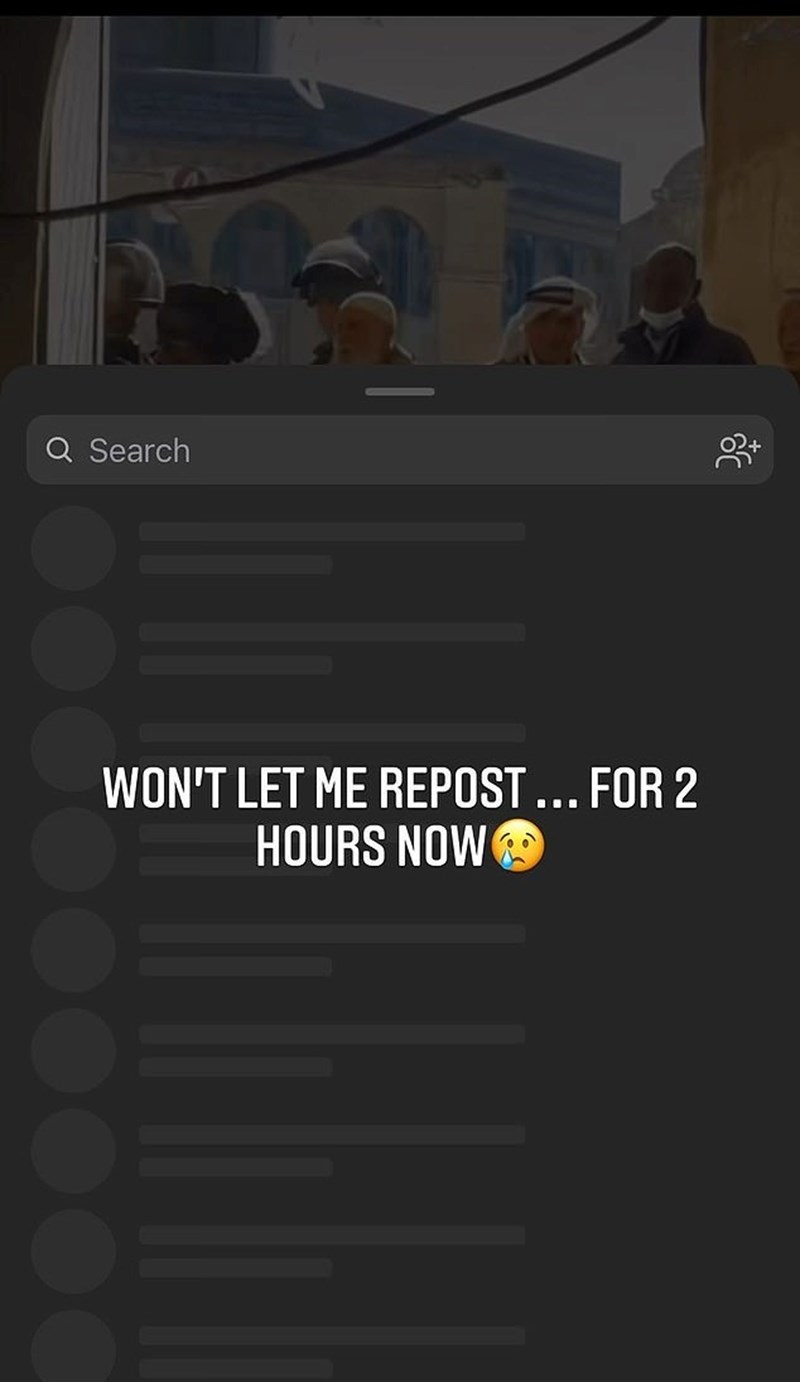bella hadid story
