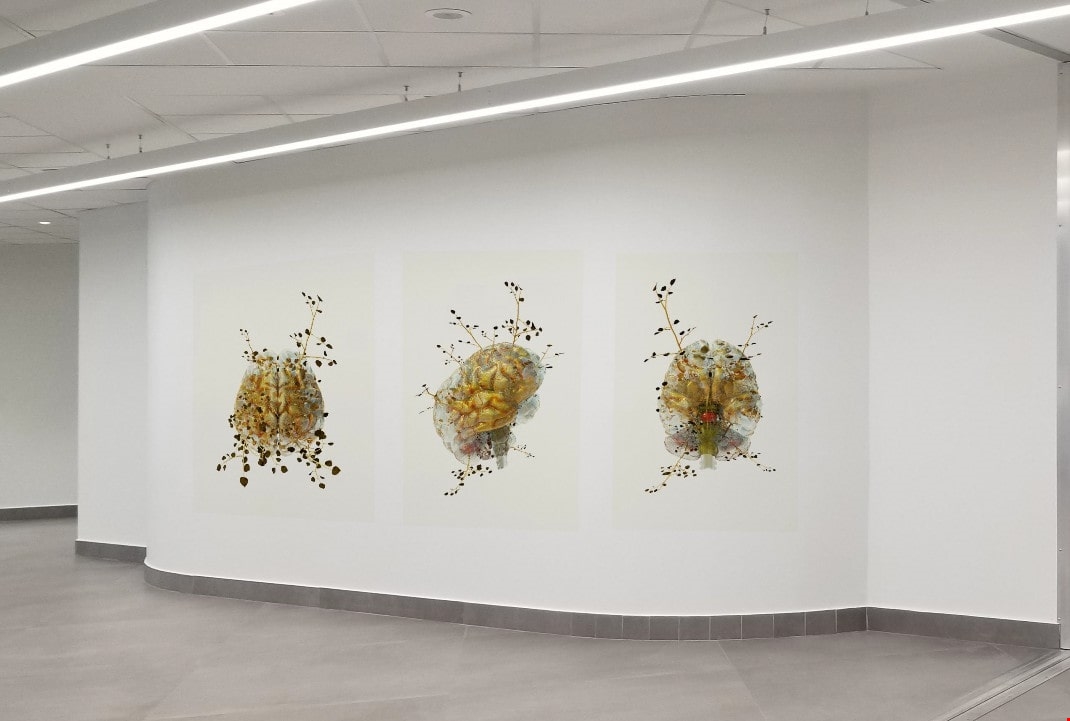 Phytobiosomes | Μία διαφορετική έκθεση του Costas Picadas στο Ερρίκος Ντυνάν