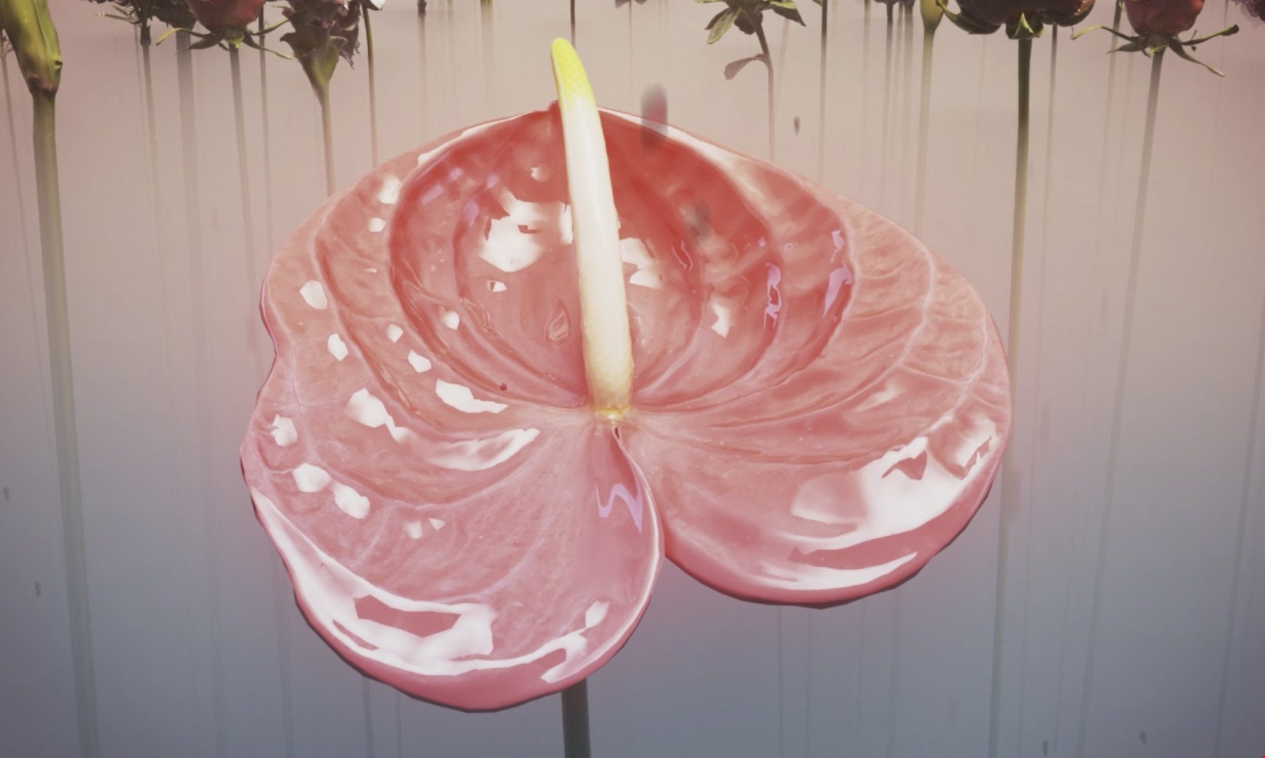 Like wildflowers in the cracks | 8 κινηματογραφικά έργα παρουσιάζονται στο Ίδρυμα Β. & Μ. Θεοχαράκη