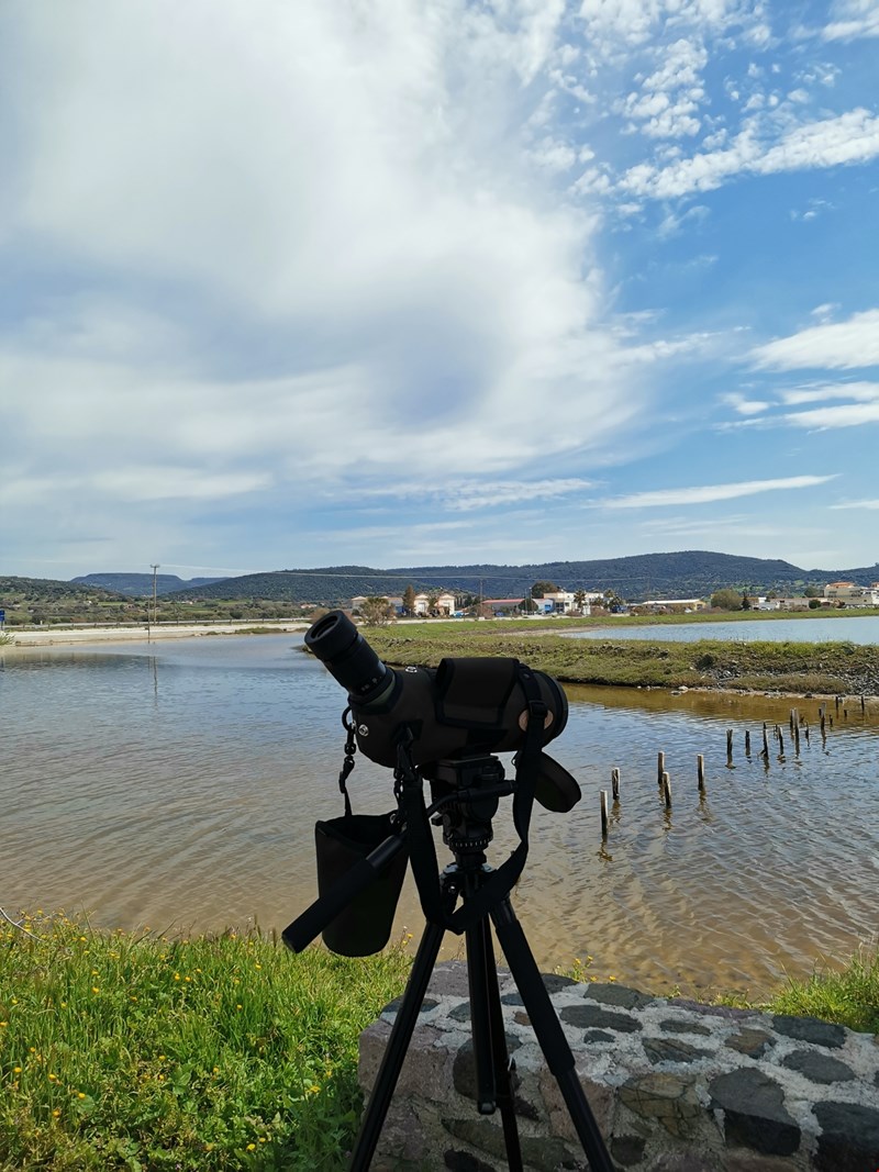 Λέσβος birdwatching