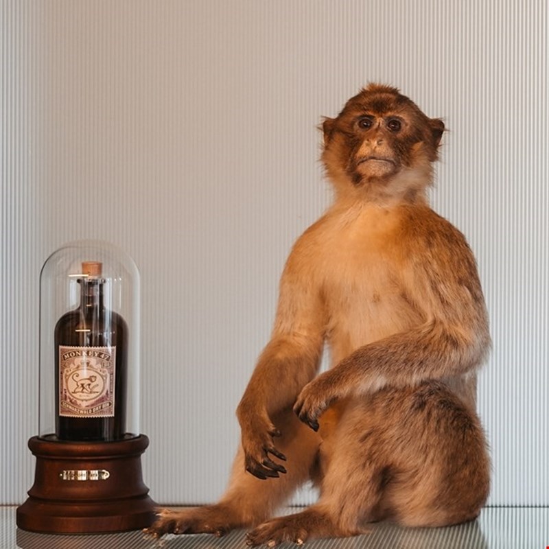 Monkey 47