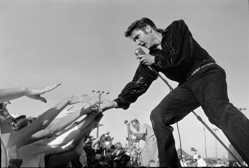 elvis