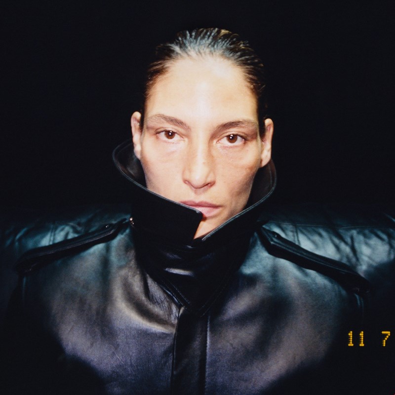 phoebephilo