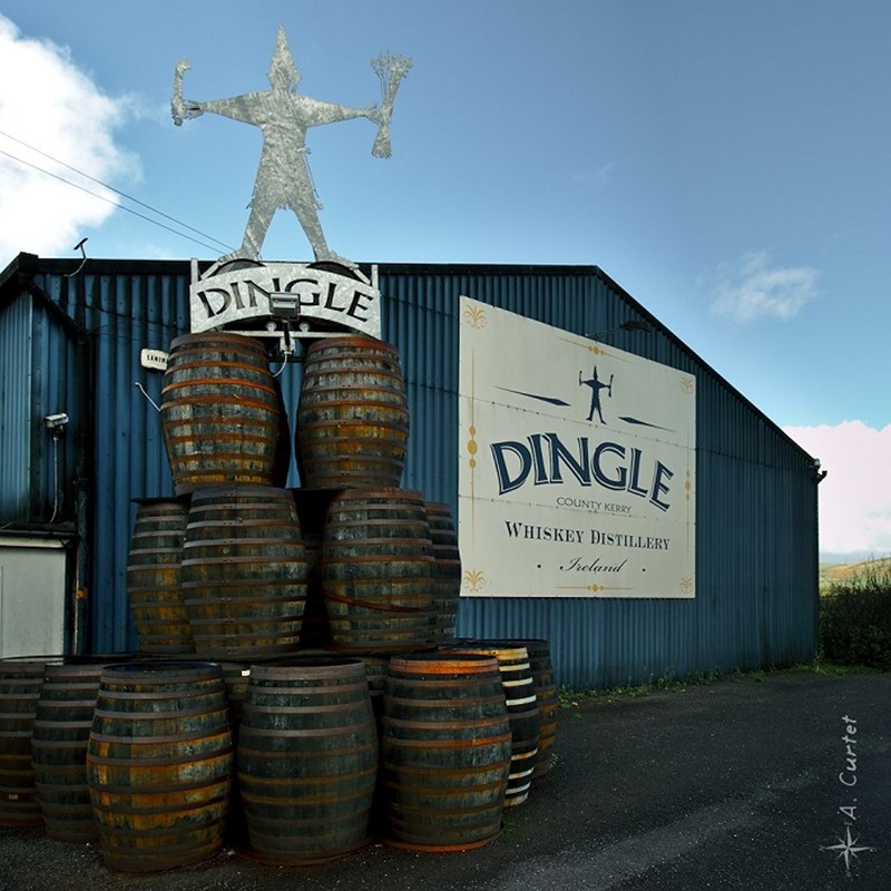 Dingle