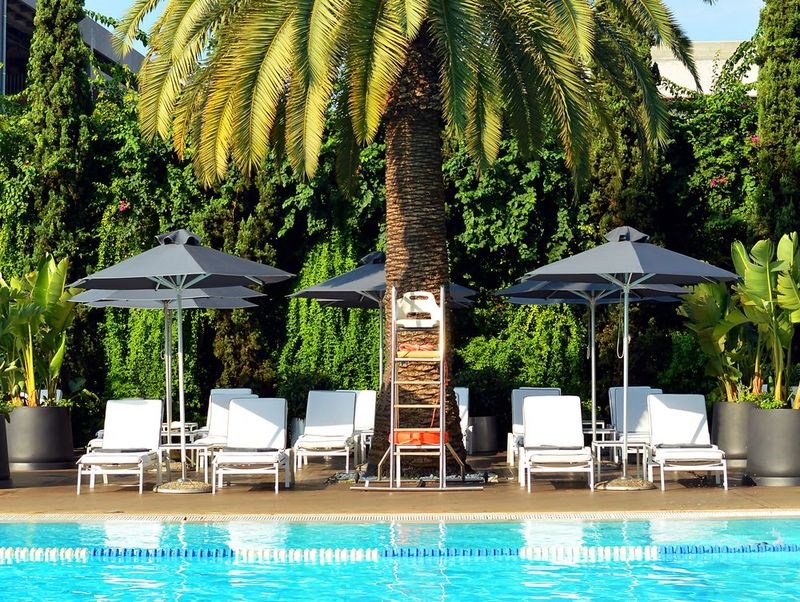 hilton pool