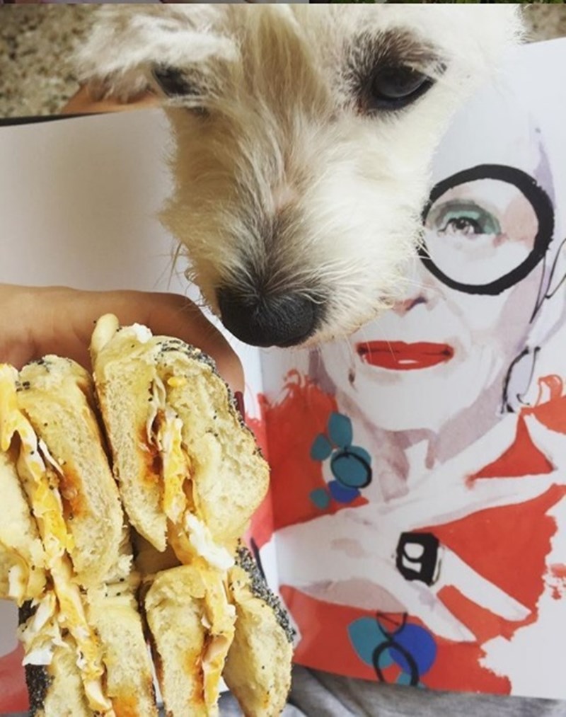 bagel