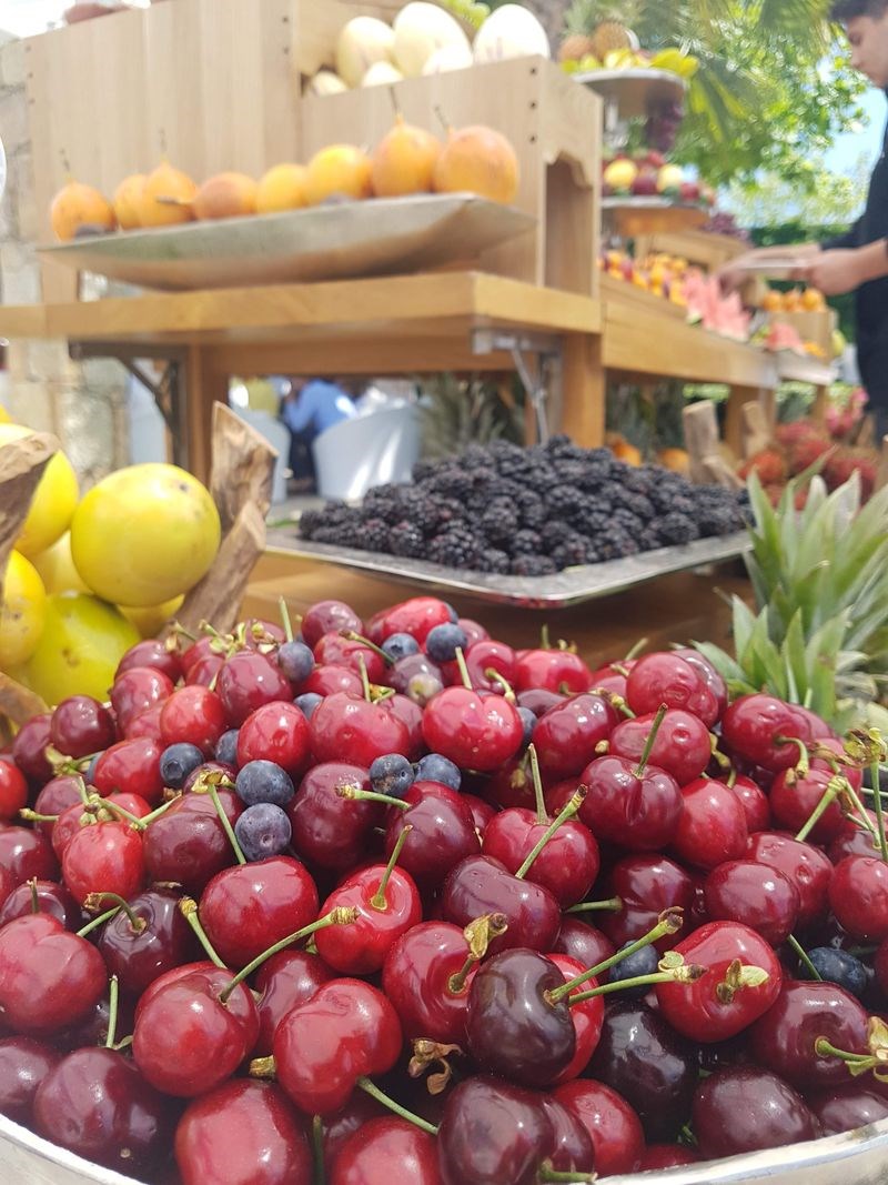 sani gourmet
