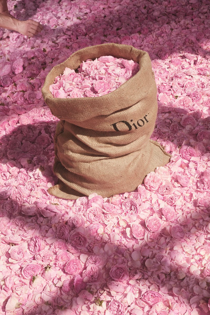 dior4
