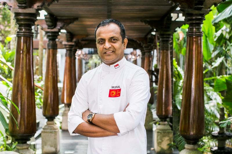 sani gourmet