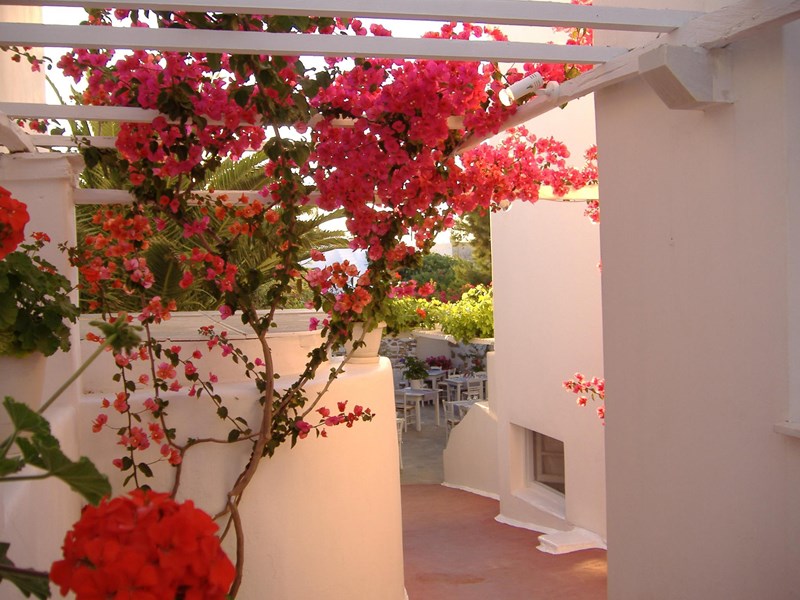 Le sud