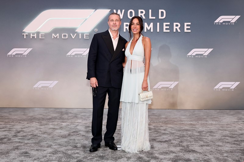 brad pitt ines de ramon