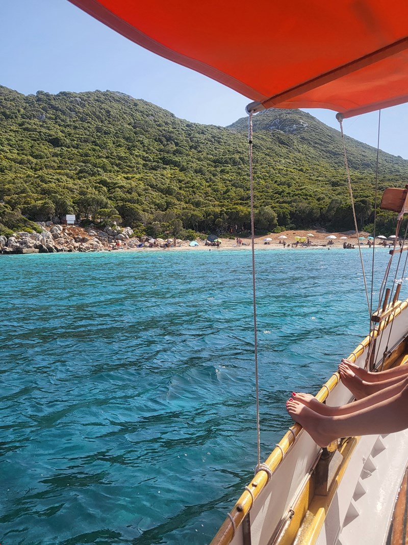 Ελένη Στασινοπούλου