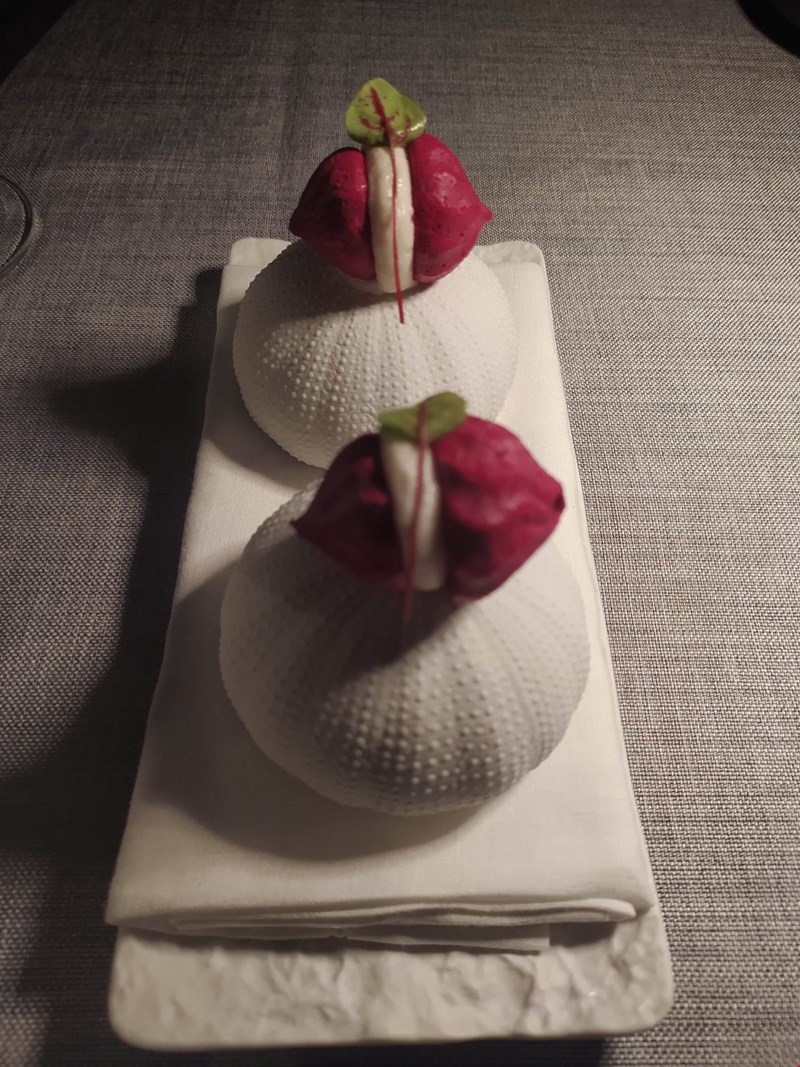 Grace Santorini Varoulko