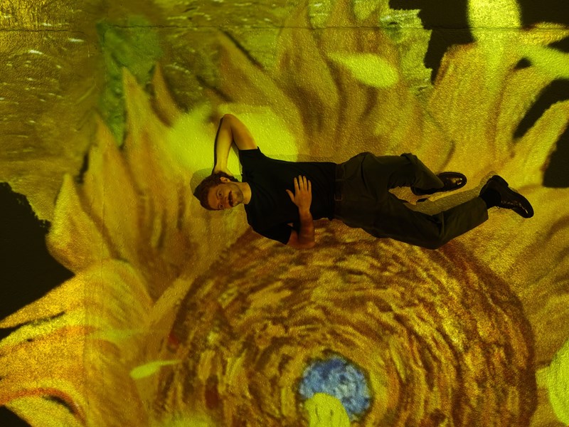 van gogh immersive experience