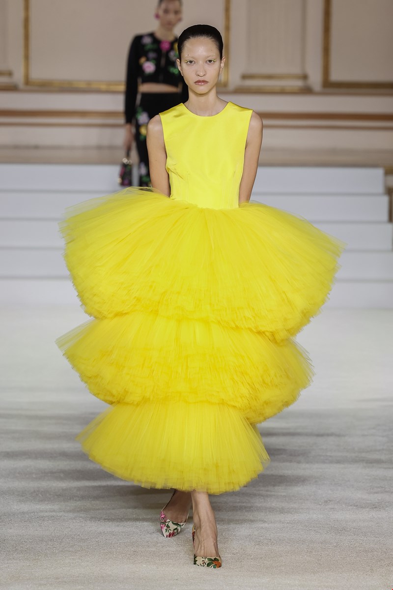 color trends