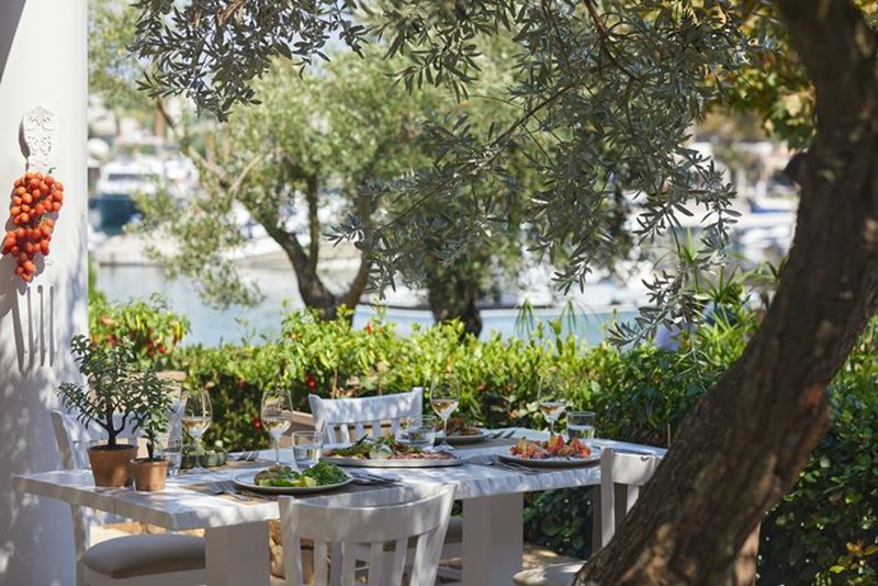 sani gourmet