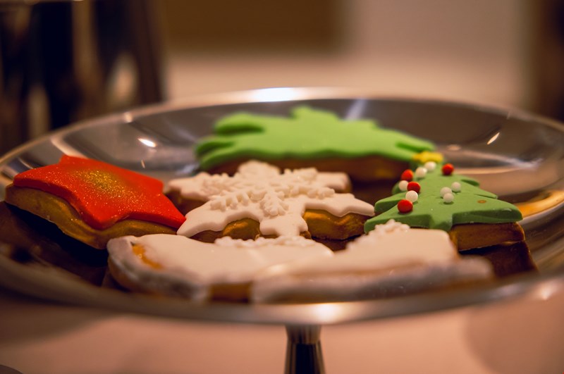 ΠΑΡΟΥΣΙΑΣΗ ΣΥΛΛΟΓΗ Cocooning On Ice LONGCHAMP