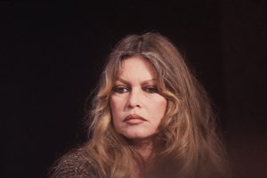 Ποιος θα κληρονομήσει την τεράστια περιουσία της Βrigitte Bardot: Σπίτια και 55 εκατομμύρια ευρώ - εικόνα 2