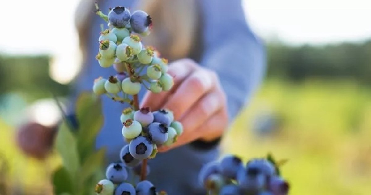 Οι γυναικολογικοί κίνδυνοι του καλοκαιριού και πώς θα τους αποφύγεις - εικόνα 1